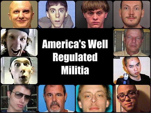 meme — Well regulated militia