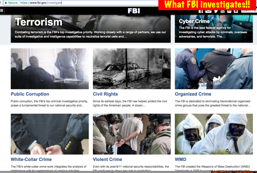What FBI investigates